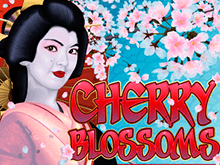 Получите реальный денежный приз, играя в онлайн-аппарат Cherry Blossoms